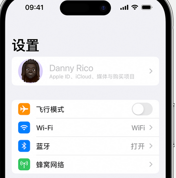 桥西appleID维修服务iPhone设置中Apple ID显示为灰色无法使用 