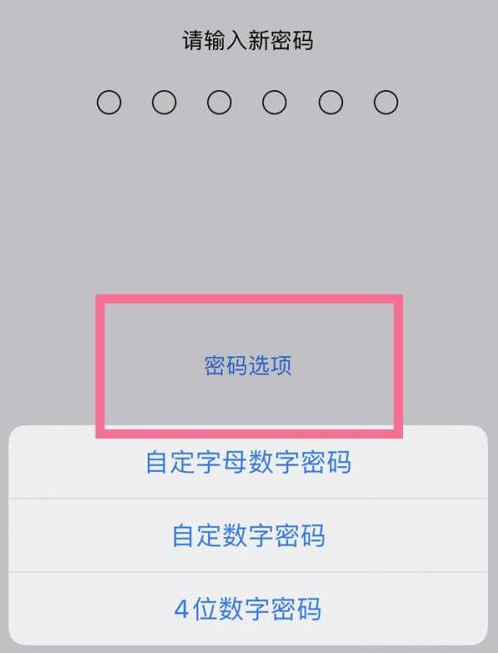 桥西苹果14维修分享iPhone 14plus设置密码的方法 