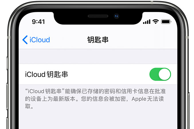 桥西苹果手机维修分享在 iPhone 上开启 iCloud 钥匙串之后会储存哪些信息 