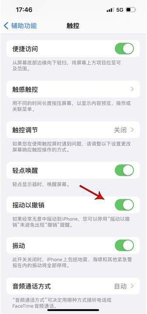 桥西苹果手机维修分享iPhone手机如何设置摇一摇删除文字 